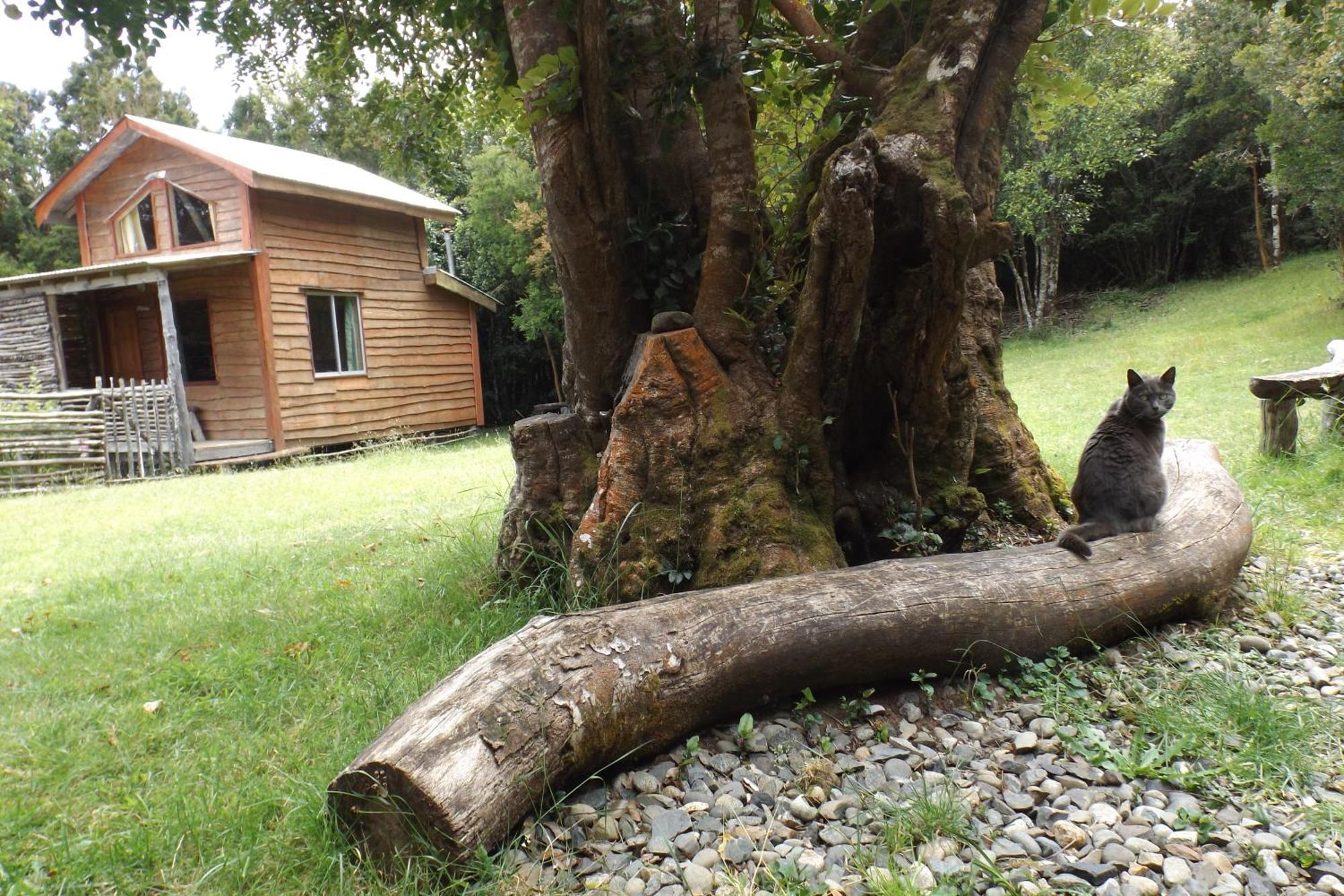Hostal Karukinka Chonchi Exterior foto